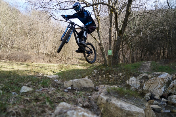 Rosensteiner Downhill
